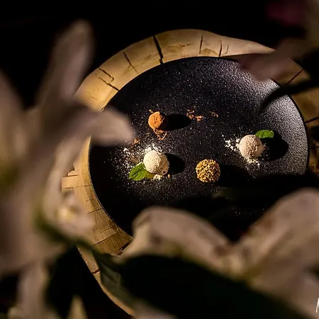 Boutique Eco Sasanka 3* 斯克拉斯卡波伦巴