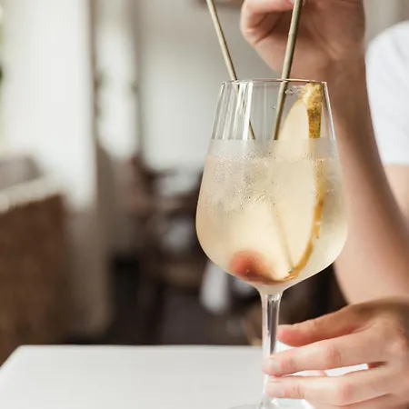 Ξενοδοχείο Boutique Eco Sasanka